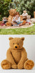 Animal Large Sitting Bear by Jiggle & Giggle