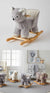 Koala Rocker by Jiggle & Giggle