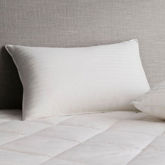 Deluxe Feather And Down Latex Pillow by Sheridan Cottonbox Pty Ltd