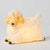 Sheep Night Light 2 PACK