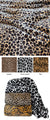 African Plush Blankets by Bas Phillips