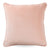 Classic Velvet Blush Cushions by Canvas
