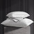 Opulence Silver Accessories by Davinci