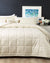Checks Ivory Comforter Set by Park Avenue