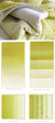 Saraille Lime by Designers Guild