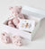 Pink Teddy Hamper Gift Set 2 Pack by Jiggle & Giggle