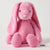 Sherbet Pink Bunny Plush Range by Jiggle & Giggle