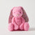 Sherbet Pink Floral Bunny 3 Pack by Jiggle & Giggle