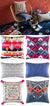 Newtown Fiesta Cushions by Kas