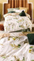 Dinosaur Map Quilt Cover Set by Linen House Kids