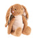 Fairy Bunny Brown Cushion by Linen House Kids