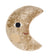 Sleepy Moon Novelty Cushion by Linen House Kids