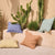 Bellbrae Cushions by Linen House