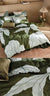 Lita Moss Quilt Cover Set by Linen House