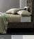 400TC Sienna by Linen House