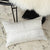 Aragon Silver Cushion by Private collection