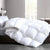 Ultimate 80 Percent White Goose Down And Feather Quilt by Renee Taylor
