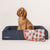 Scout Radish Pet Blanket by Sheridan