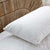 Arbor Cotton Pillow Protector Standard