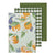Orange Seafoam 3 PACK Tea Towel (50 x 70cm)