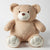 Davey Bear Plush 2 PACK