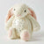 Cream Bunny Plush Night Light 2 Pack