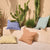 Bellbrae Cushion (48 x 48cm)