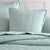 Ascot Surf European Pillowsham