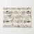 Le Bistrot Placemat (50 x 35cm) 8 PACK
