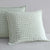 Vector Sage European Pillowcase