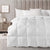 Silk Blend Quilt Ultra Warm Winter Weight 800GSM