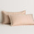 Reilly Stripe Duo Spice Pillowsham