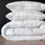 Classic Rose Pillow
