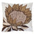Protea Cushion (50 x 50cm)