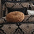 Atticus Black European Pillowcase