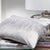 Feathers Silver Decorator Cushion (30 x 50cm)