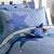 Stars Quilted Pillowsham