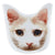 Scout White Novelty Cushion