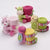 Novelty Bright Animals Blanket Pack