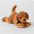 Biscuit Dog Plush 3 Pack