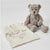 Darcy The Comfort Bear 2 Pack