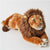 Animal Large Lying Lion
