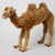 Animal Large Standing Camel