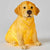 Labrador Sculptured Light 2 PACK