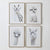 Framed Wall Art Large Animals 4 Set