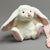 Plush Bonny Bunny Toy