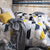 Maxo Quilt Cover Set