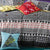 Winner Red Square Cushion (43 x 43cm)
