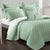 Interlace Vine Frost 9pce Comforter Set