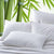 Bamboo Fibre Twin Pack Pillows